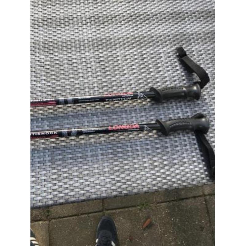 Nordic walking wandelstokken tengyun longda antischok