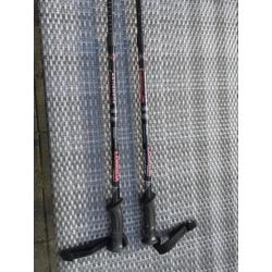 Nordic walking wandelstokken tengyun longda antischok