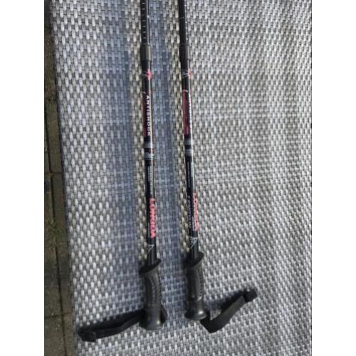 Nordic walking wandelstokken tengyun longda antischok