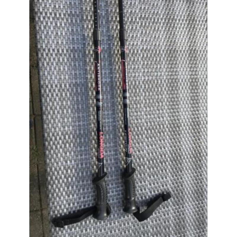 Nordic walking wandelstokken tengyun longda antischok